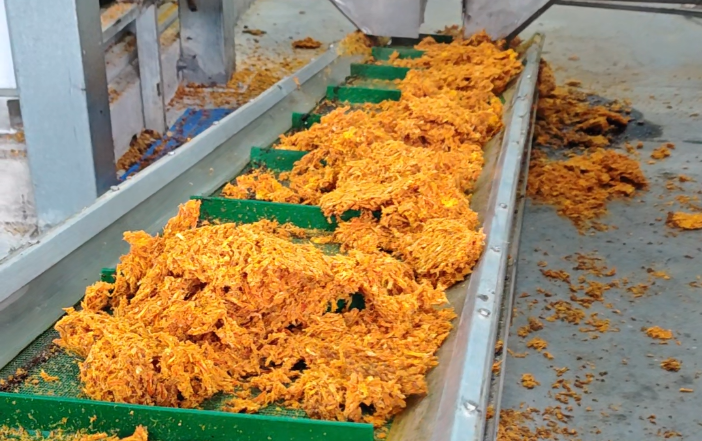 废渣变“金料”！晟启方案赋能食品企业，打造产业盈利新路径